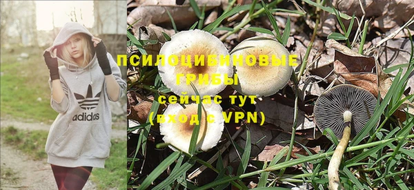 мет Верея
